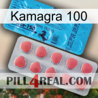 Kamagra 100 new14